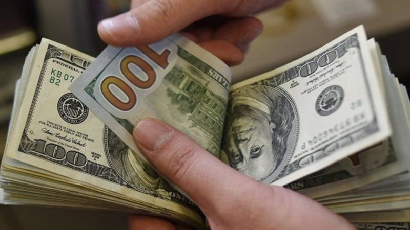Ünlü ekonomistten TL açıklaması: Doların gerçek değeri 21 TL