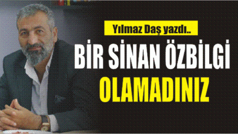 BİR SİNAN OLAMADINIZ