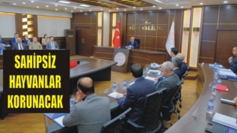 Sahipsiz Hayvanların Korunması İçin Önemli kararlar alındı