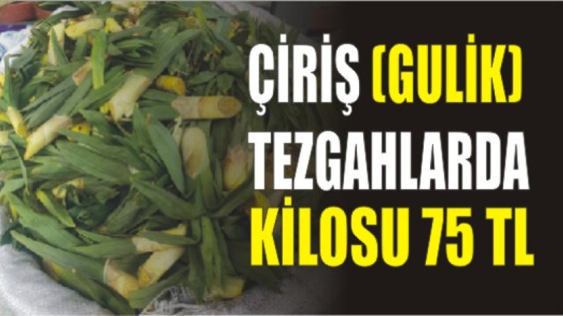 ÇİRİŞ AĞRI'DA TEZGAHLARDA YERİNİ ALDI