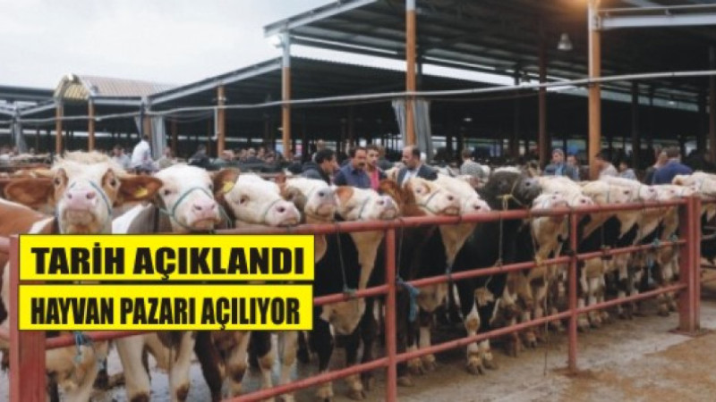 Şap aşılamasında kritik süreç devam ediyor