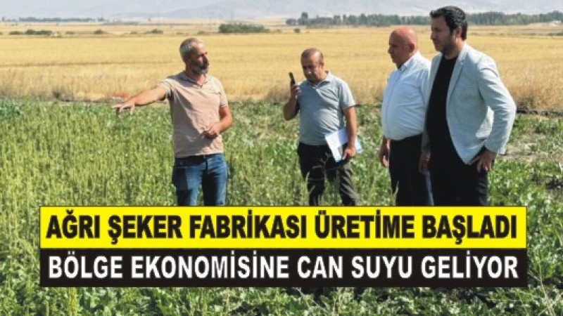 Ağrı Şeker Fabrikası Üretime Başladı! Bölge Ekonomisine Can Suyu Geliyor