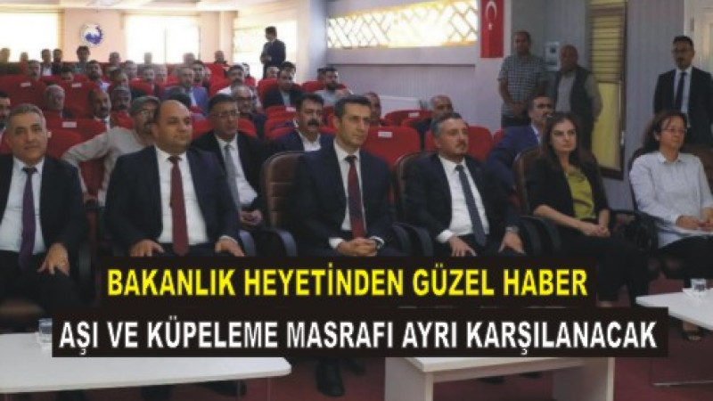 Yetiştiriciye Büyük Müjde: Aşı ve Küpe Ücreti Artık Destekten Kesilmeyecek!