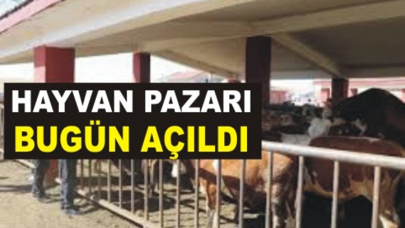 Bakan Yumaklı duyurdu: Ağrı hayvan pazarı açıldı