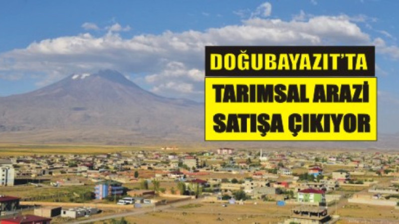 Doğubayazıt’ta Tarımsal Arazi Satışa Çıkıyor!