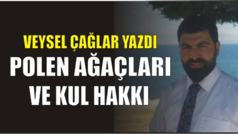 POLEN AĞAÇLARI VE KUL HAKKI