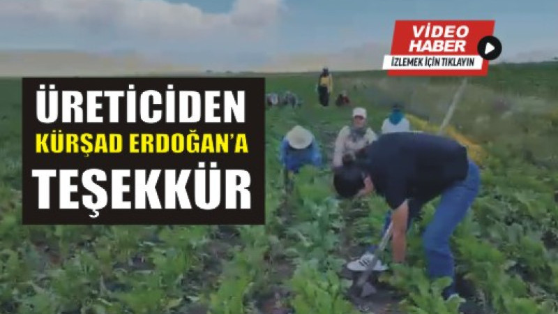 Ağrı Şeker Fabrikası'nda 